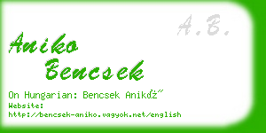 aniko bencsek business card